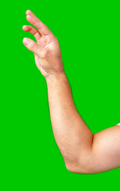 istock human arm gesturing with raised fingers against a bright green backdrop 2179933656