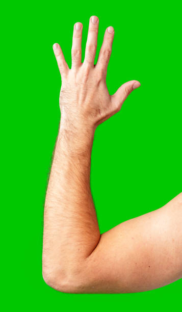 istock human arm gesturing with raised fingers against a bright green backdrop 2179934317