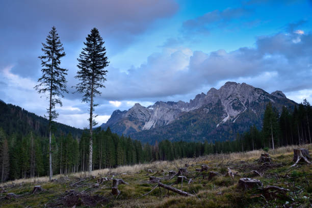 istock Forest of Visdende Valley, Dolomites, Italy 2179935066