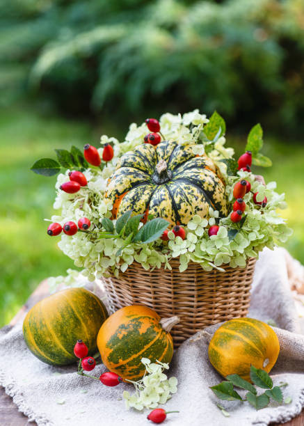 istock Handmade decoration with decorative squash, white, green hydrangea flowers and red reship berries on the garden table. 2179938379