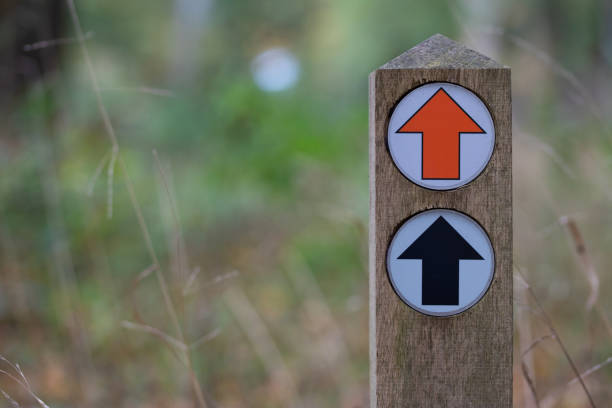 Trail Marker with Directional Arrows in a Forest