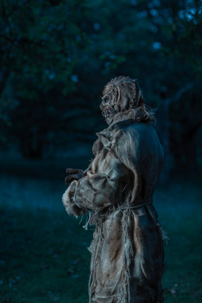 Halloween Scarecrow in a field at dusk