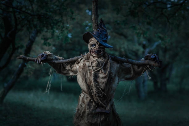 Halloween Scarecrow in a field at dusk