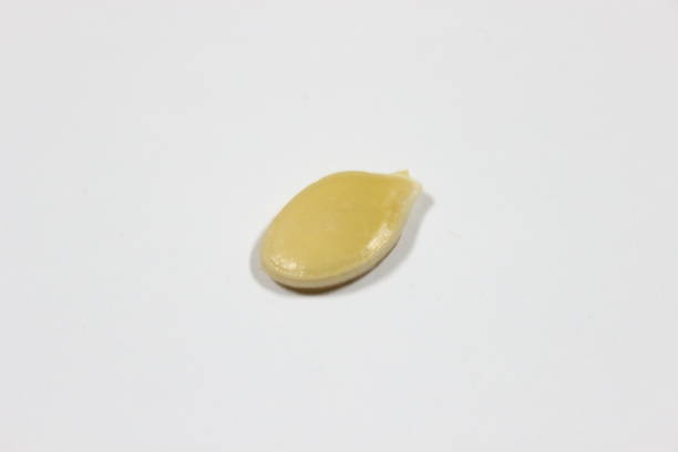istock Close-up of Pumpkin seeds 2179944944