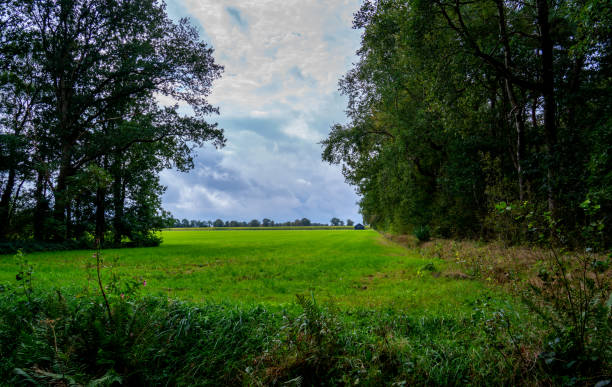 Landscape in a Dutch nature reserve