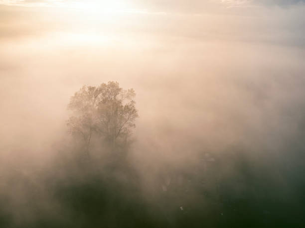 istock Misty forest overhead aerial view during autumn 2179953631