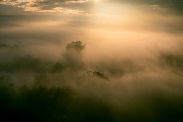istock Misty forest overhead aerial view during autumn 2179953766