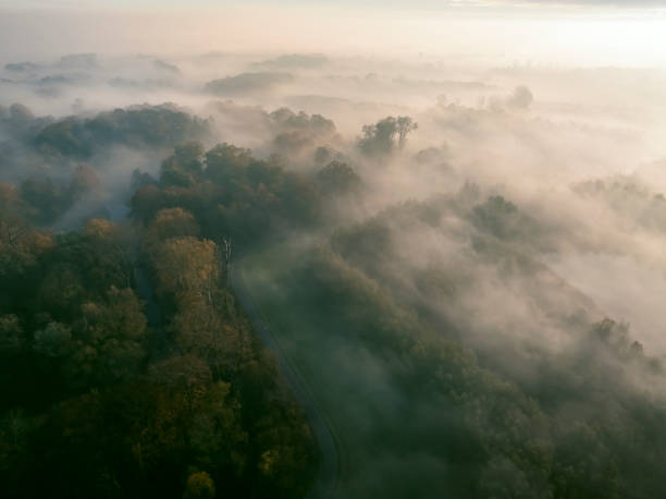 Forest covered in a blanket of mist seen from above during a fall morning near the river IJssel in Overijssel. The treetops are popping out over the thick fog with some of the trees starting to change color during the annual autumn season. The fog is giving the landscape a mystical atmosphere.
