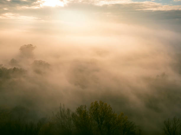 Forest covered in a blanket of mist seen from above during a fall morning near the river IJssel in Overijssel. The treetops are popping out over the thick fog with some of the trees starting to change color during the annual autumn season. The fog is giving the landscape a mystical atmosphere.