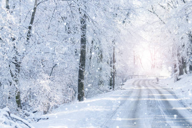 istock Winter landscape with snow-covered trees and road 2179958727