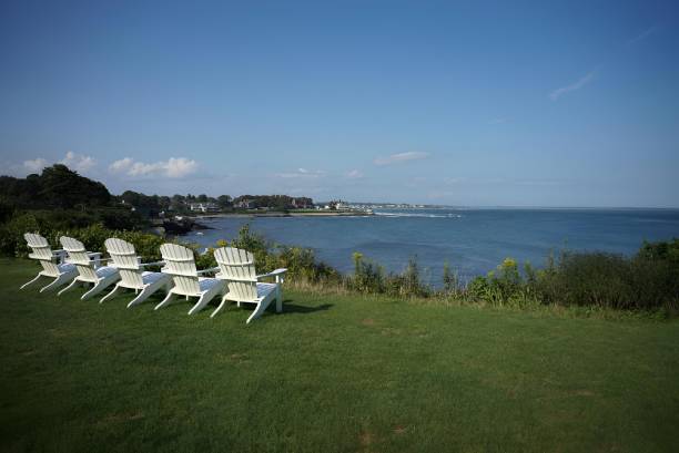 istock White benches on the green grass facing the calm sea 2179959219