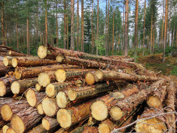 istock Forest industry timber wood harvesting Finland 2179960112
