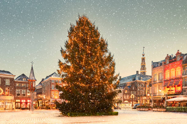 Snow landscape with christmas tree in Den Bosch