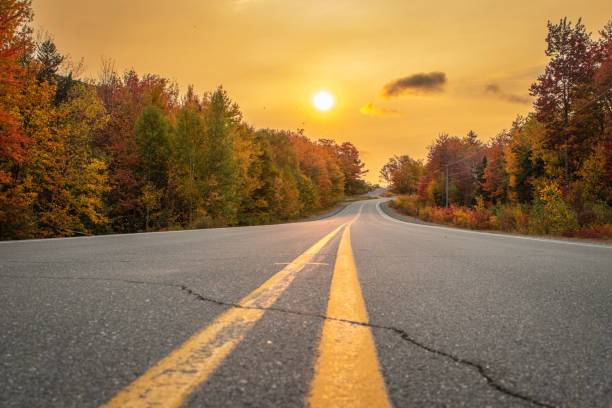 istock Scenic autumn road under a golden sunset sky. 2179962496