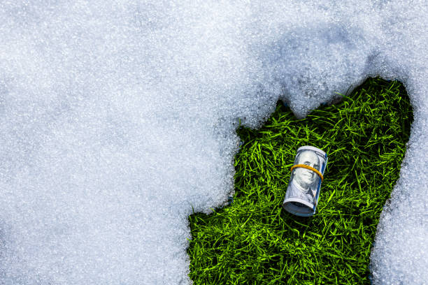 roll of us dollar banknotes on thawed green grass patch in the snow