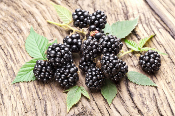istock Blackberries with green leaves on old wooden background. 2179969964
