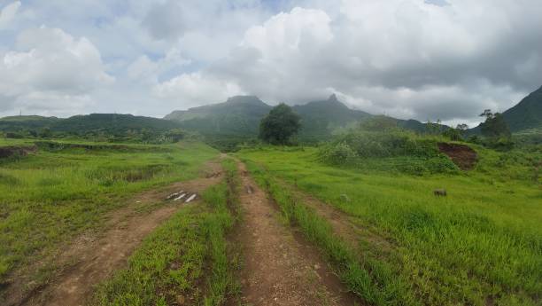 istock A scenic view of a muddy path cutting through a lush green meadow under a cloudy sky 2179972811
