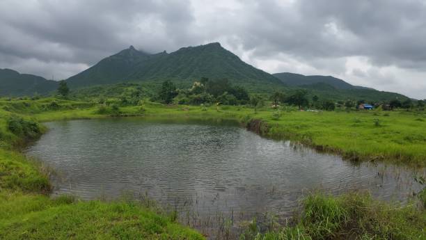 istock Lush green landscape with a waterbody under a cloudy sky 2179973025