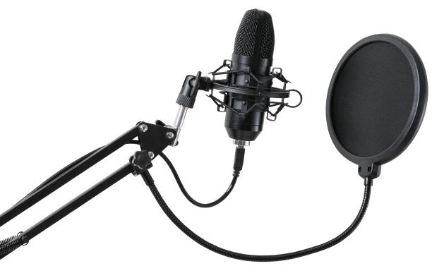 istock Professional studio microphone for voice recording with pop filter isolated on a white background. 2179973981