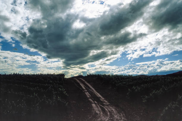 Rural landscape near Logrono, La Rioja,Spain, at summer