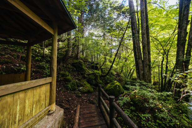 istock Tateshina Otaki Falls in Japan 2179977599