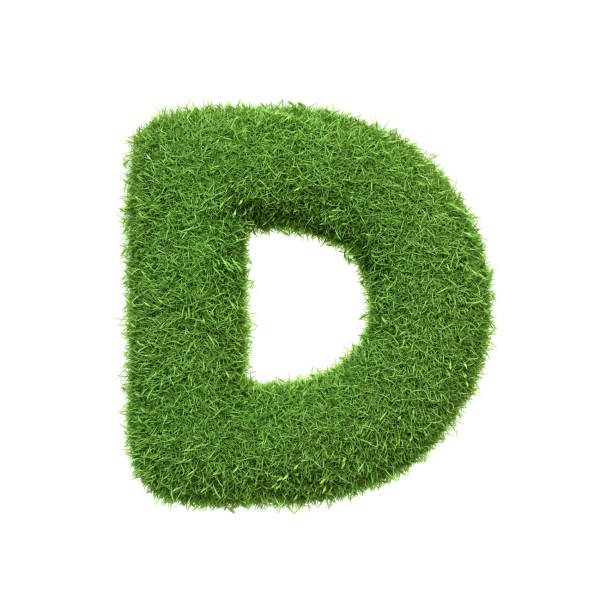 istock Capital letter D shaped from lush green grass, isolated on a white background 2179979824