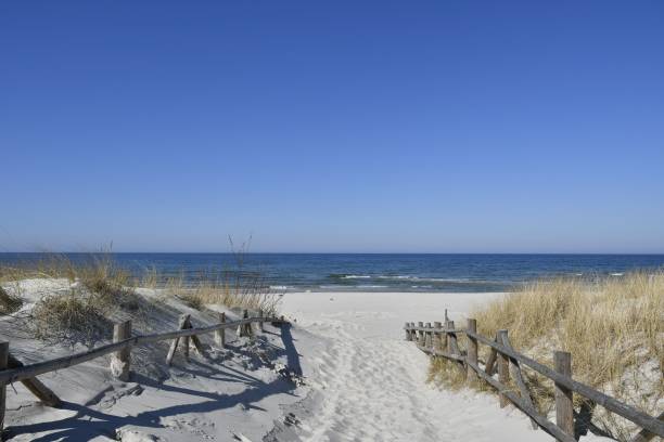 istock Serene beach path leading to the ocean 2179984896
