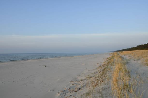 istock Serene beach landscape with sand dunes and calm waves under a clear sky. 2179984972