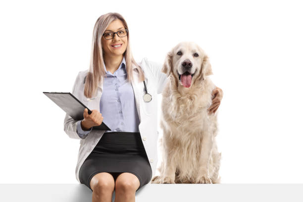 istock Veterinarian hugging a retriever dog and sitting on a blank panel 2179986941