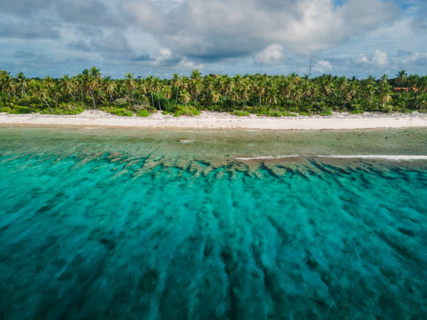 Maldives tropical coastline with beach, palms trees and clear ocean.