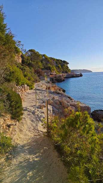 istock shore of cala llombards beach in mallorca 2179995172