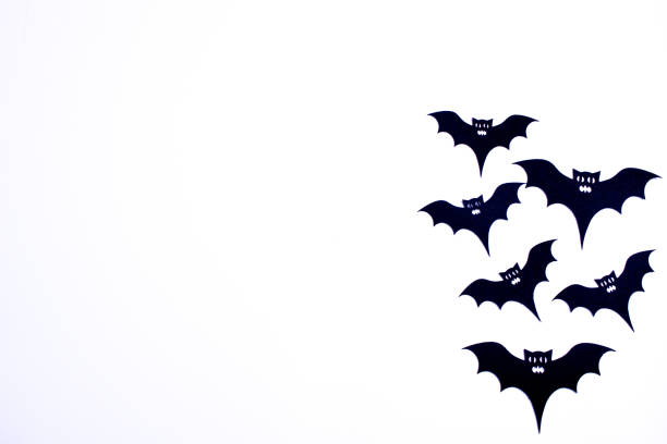 This is a Halloween-themed image featuring black bats and orange pumpkins on a stark white background. The contrast of colors creates a striking, festive scene, capturing the spooky yet fun spirit of the holiday.