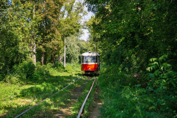 istock Long tram tracks running through the forest. 2179999306