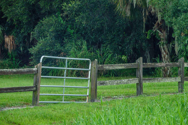 Farm gate, a steel upgrade slightly askew, along a weathered rail fence in a nature preserve (once a small farm)  in southwest Florida. For motifs of fixes and security, simplicity and solutions.