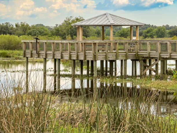istock Observation deck in floodwater mitigation zone in Florida 2180001490