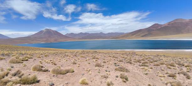 istock Altiplanic lagoon in the Atacama Desert 2180002342