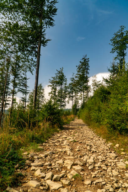 Tourist trail in the Beskids mountains.