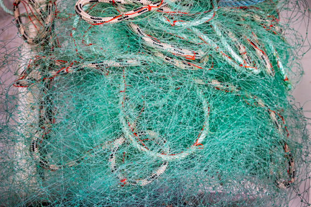 Nylon fishing net ready for use, seen in the small harbor in Qeqertarsuaq also known as Godhavn in Greenland