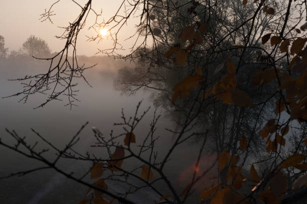 Sun and dew drop on branches. Autumn cold morning