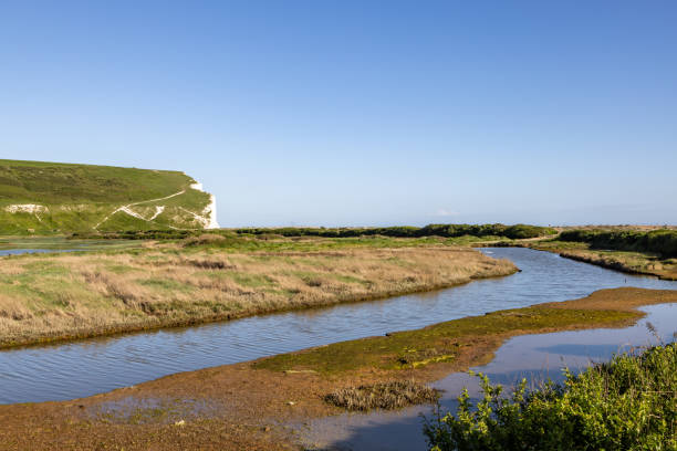 istock The Cuckmere River with Haven Brow behind, on a sunny spring day 2180005689