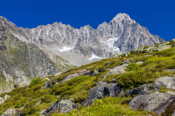 istock Aiguille du Chardonnet mountain summit peak and Glacier Argentiere in Chamonix valley, french Alps 2180010659