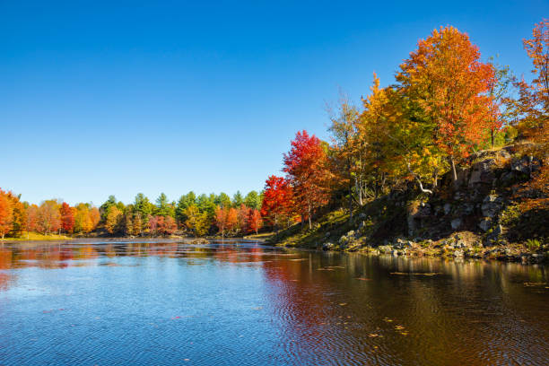 istock Bright Vibrant Autumn Fall Tree Leaf Colours Reflected in the Lake Water Mirror Surface Surrounded by Marsh Areas, Frontenac Park, Ontario, Canada 2180011214