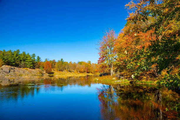 istock Bright Vibrant Autumn Fall Tree Leaf Colours Reflected in the Lake Water Mirror Surface Surrounded by Marsh Areas, Frontenac Park, Ontario, Canada 2180011303
