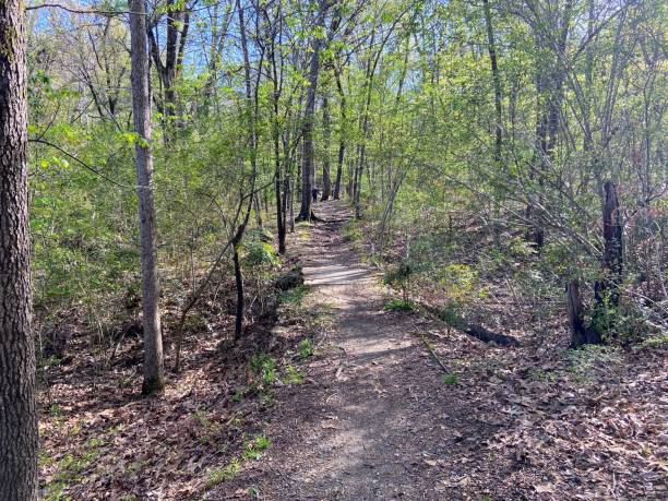 Allsopp Park in Little Rock, Arkansas
