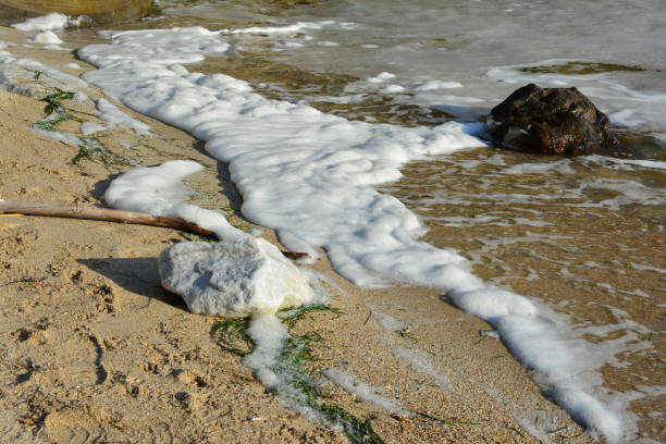 Sea pollution, big quantity of sea foam on the shore brought by the waves