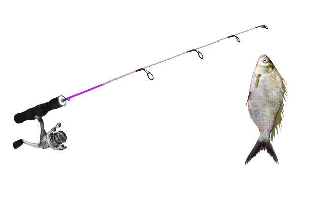 istock fish on fishing-rod 2180017588
