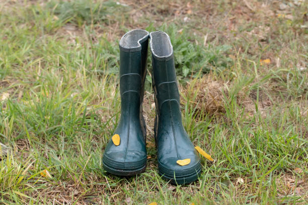 Green rubber boots with dry yellow leaves. Autumn season.Rustic composition with rubber boots and dry leaves.