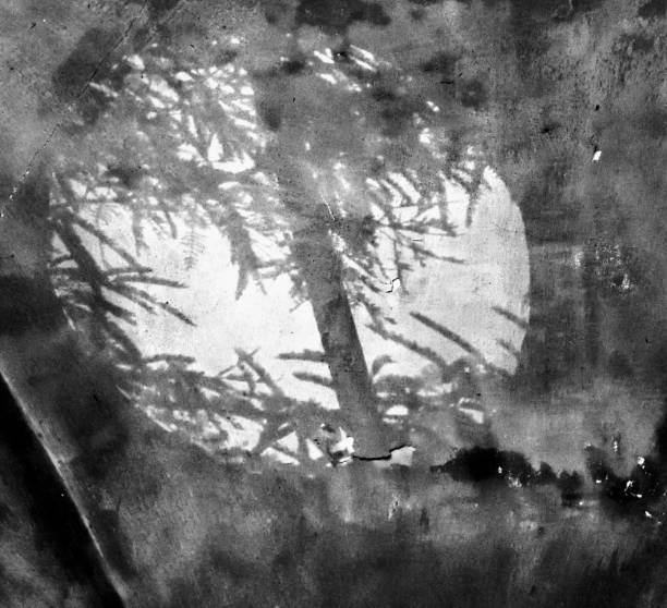 istock Black and white of shadows through window 2180020147