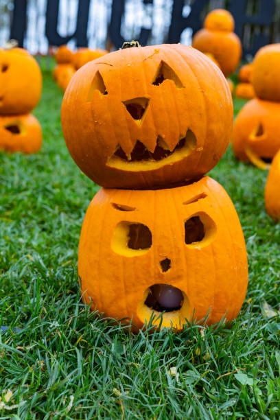 istock A pile of different colored pumpkins 2180031701