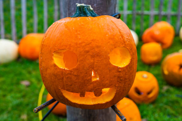 istock A pile of different colored pumpkins 2180031712